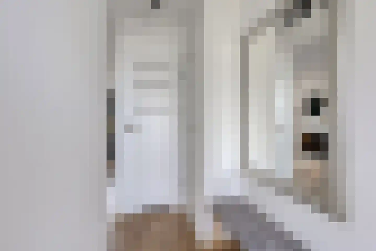 Hurk 3 Gemert thumbnail 7