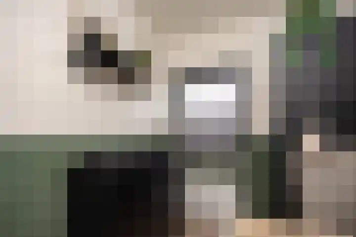 Hüsenhoff 27 Groesbeek thumbnail 25