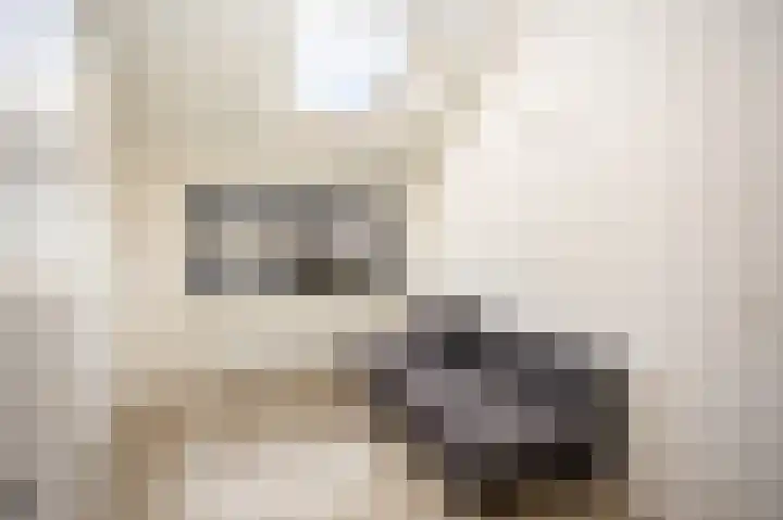 Hüsenhoff 27 Groesbeek thumbnail 35