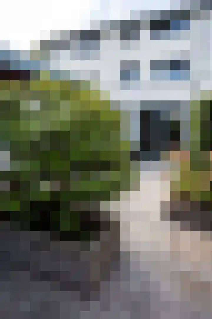 Hüsenhoff 27 Groesbeek thumbnail 42