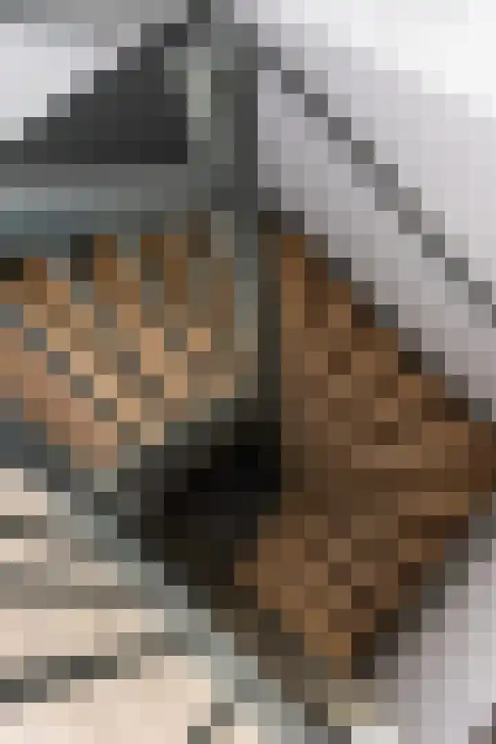 Hüsenhoff 47 Groesbeek thumbnail 37