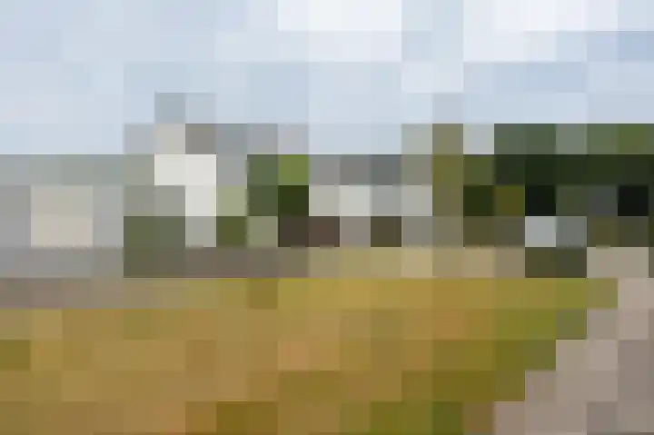 Hüsenhoff 47 Groesbeek thumbnail 43