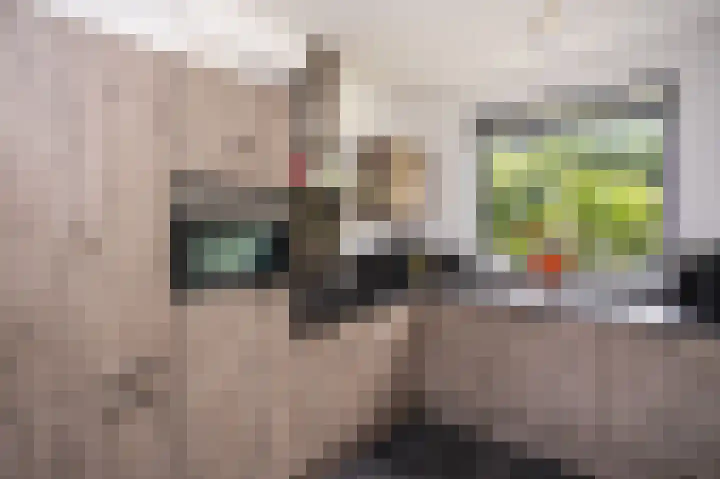 Hüsenhoff 53 Groesbeek thumbnail 13