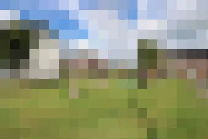 Hüsenhoff 84 Groesbeek thumbnail 12