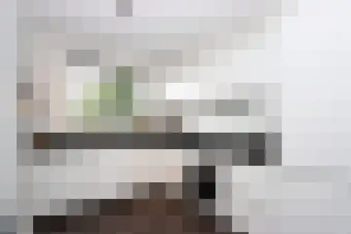 Hüsenhoff 84 Groesbeek thumbnail 21