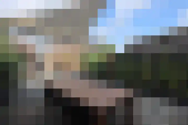 Hüsenhoff 84 Groesbeek thumbnail 9