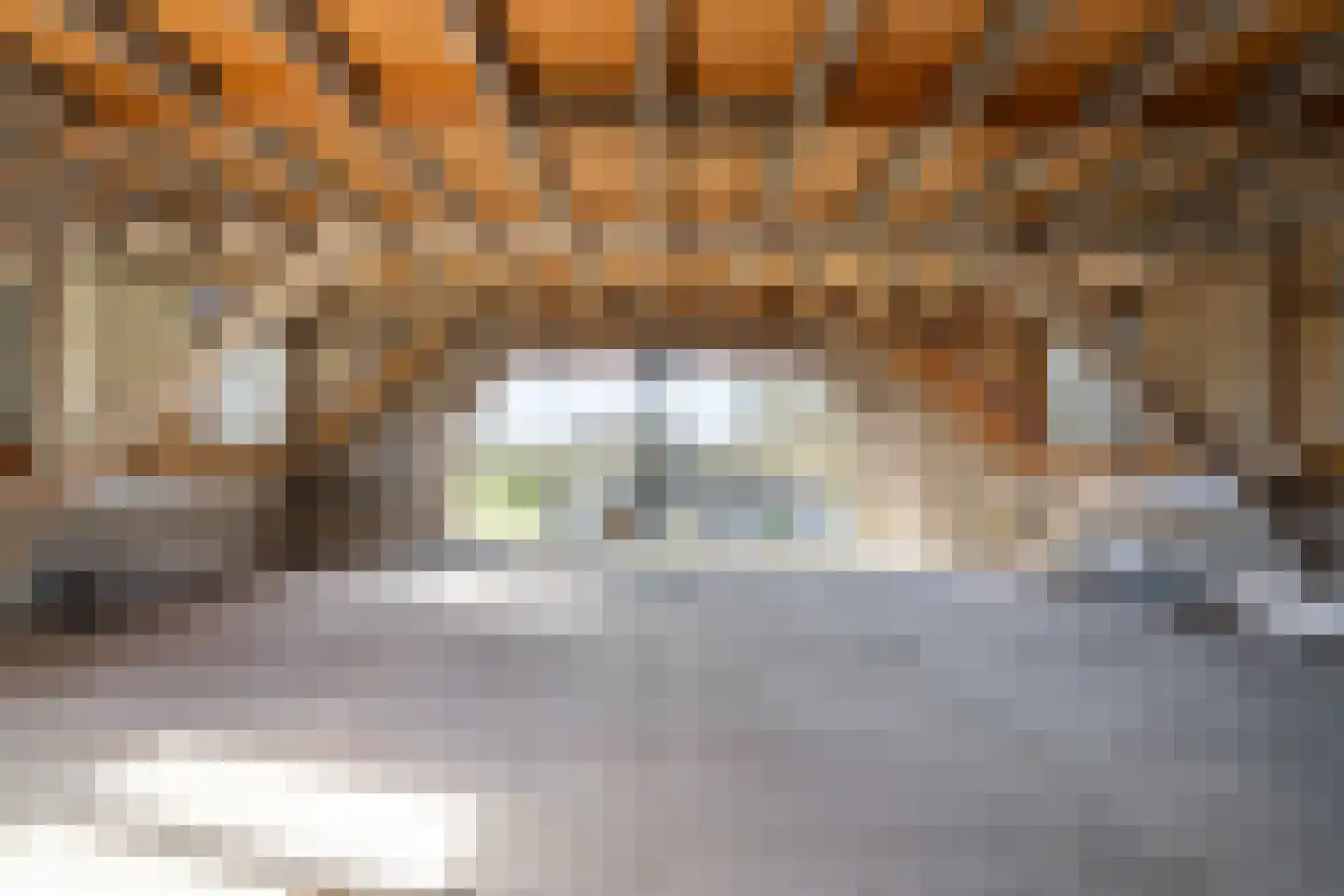 Hushoverheggen 5 Weert thumbnail 19