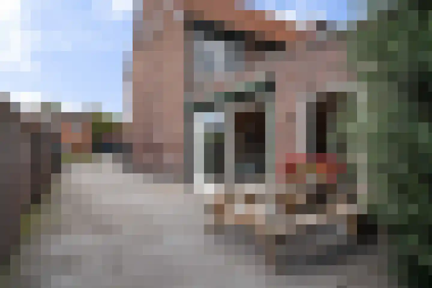Hushoverweg 110 Weert thumbnail 58