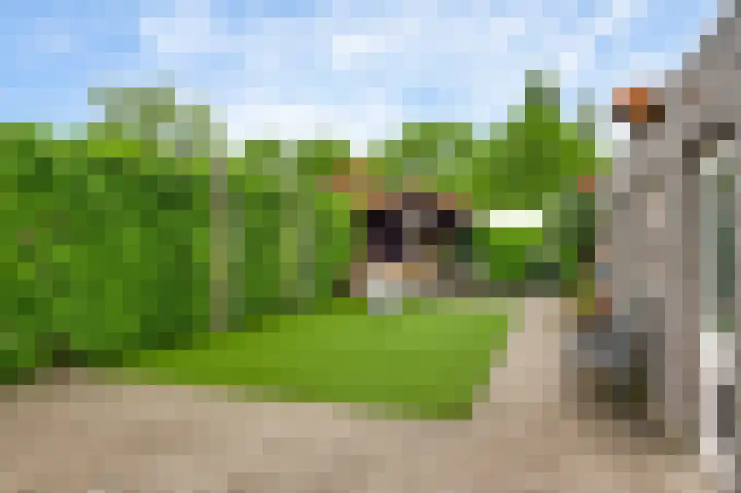 Hushoverweg 73 B Weert thumbnail 33