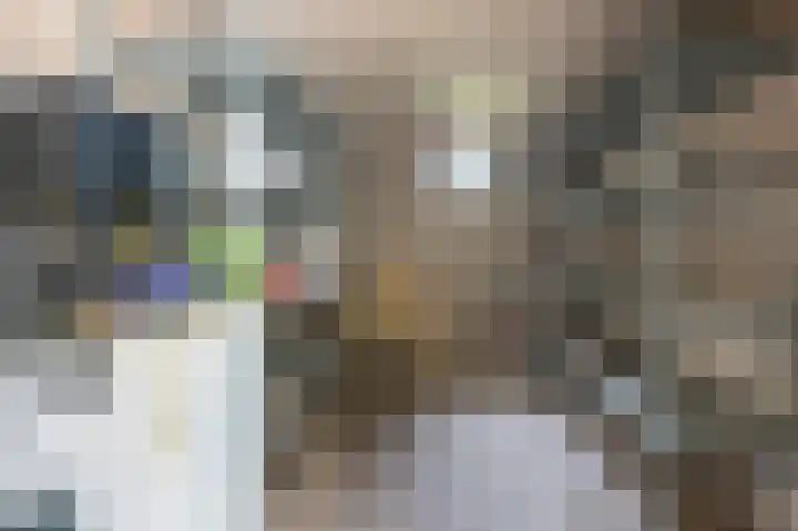 Husingecamp 4 Emmen thumbnail 21