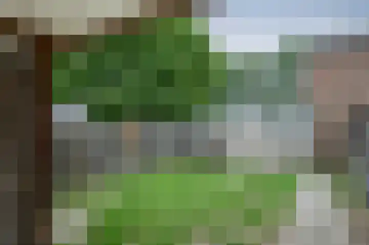 Husingecamp 4 Emmen thumbnail 22