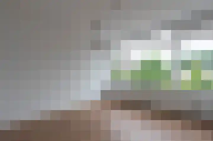 Husingecamp 4 Emmen thumbnail 6