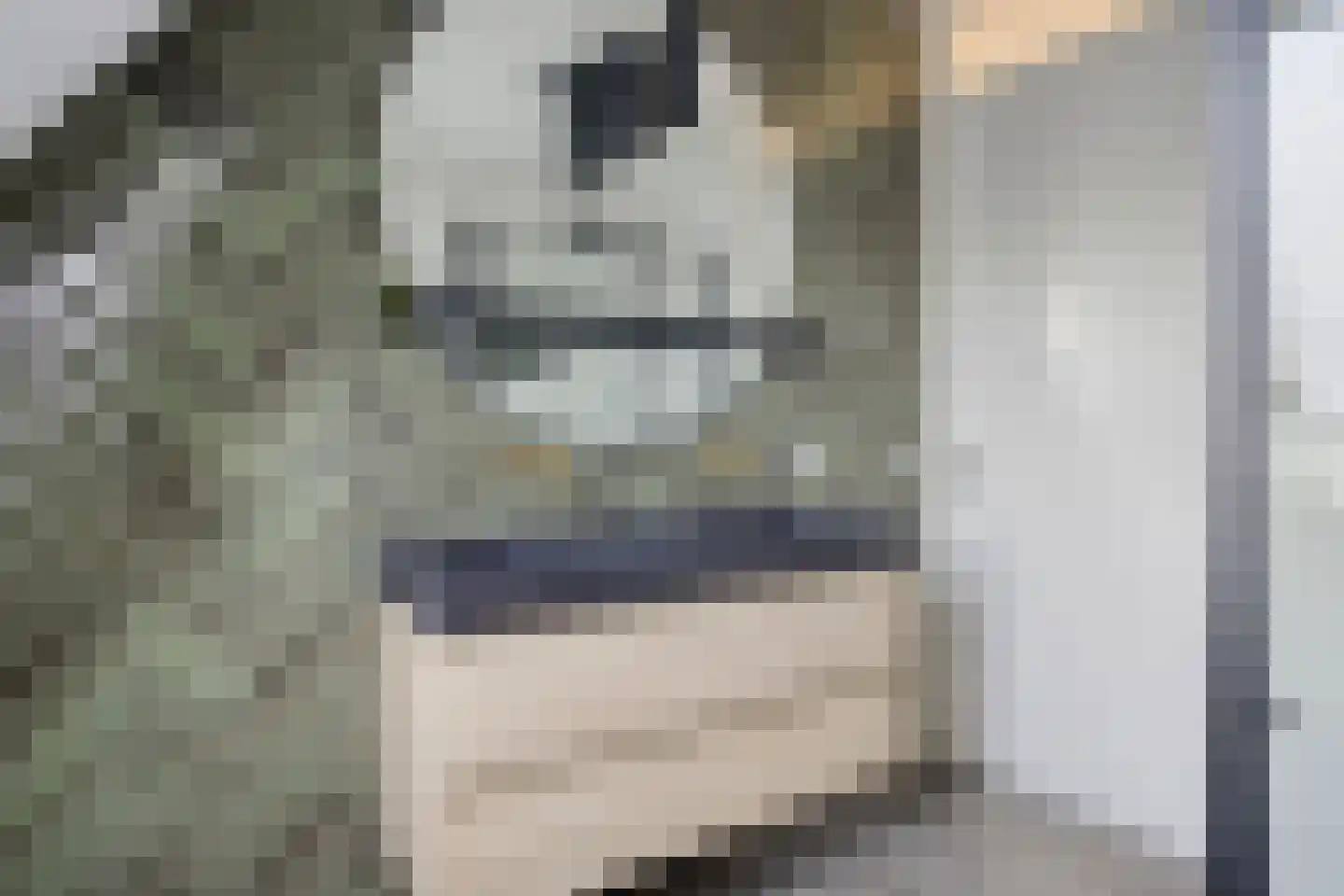 Husingslag 14 Nieuw-Roden thumbnail 31