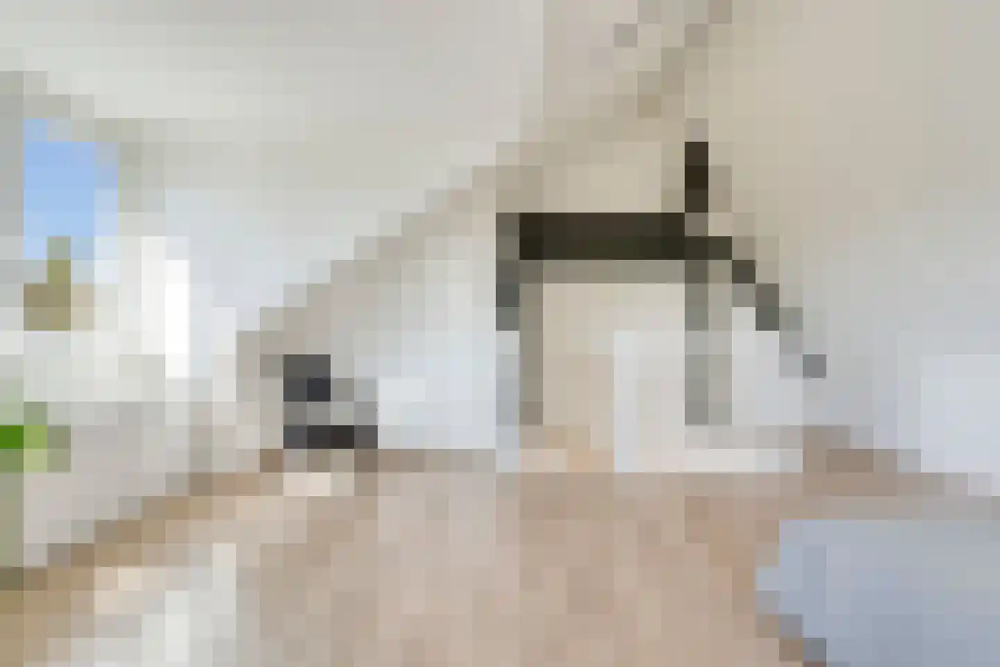 Husingslag 14 Nieuw-Roden thumbnail 37
