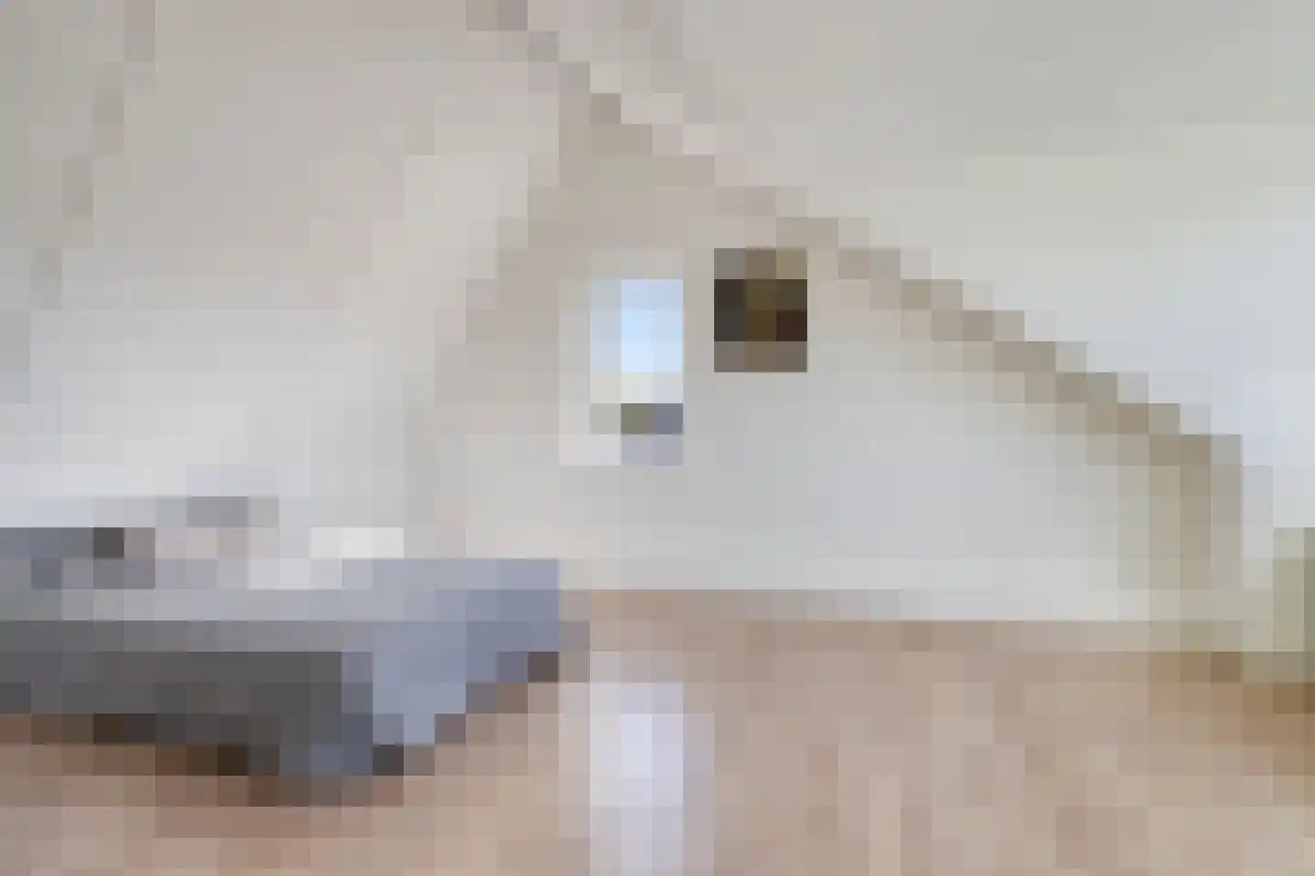 Husingslag 14 Nieuw-Roden thumbnail 39