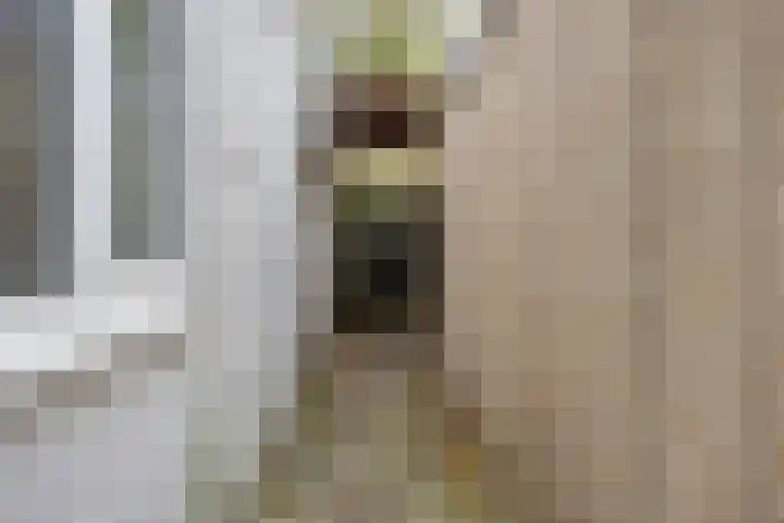 Huskensweg 17 A Heerlen thumbnail 24