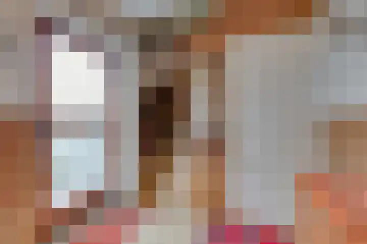 Husselarijstraat 34 Loo Gld thumbnail 31