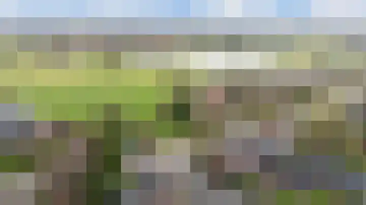 Husselarijstraat 34 Loo Gld thumbnail 6