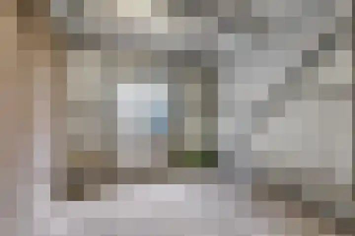 Husselarijstraat 34 Loo Gld thumbnail 64