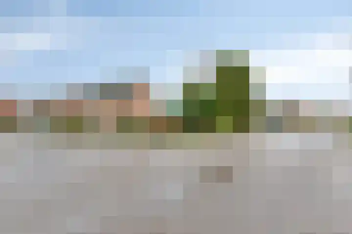 Husselarijstraat 34 Loo Gld thumbnail 8