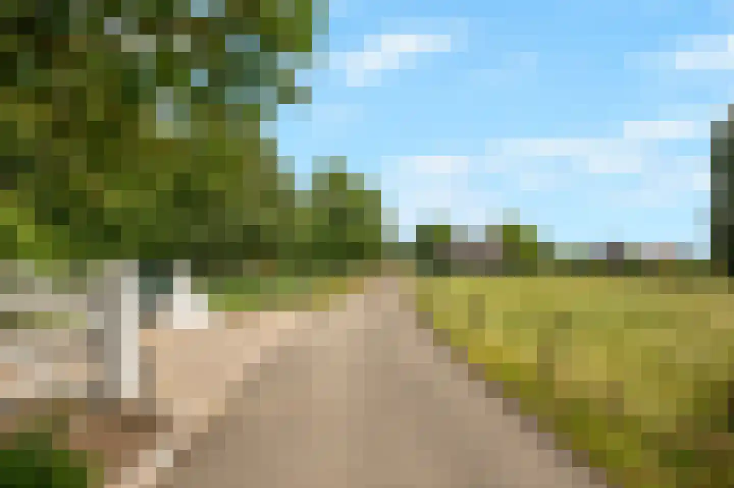 Husselarijstraat 58 60 Loo Gld thumbnail 69
