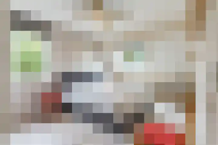 Husselmansgoed 26 Nijkerk thumbnail 12