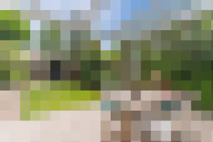 Husselmansgoed 26 Nijkerk thumbnail 27