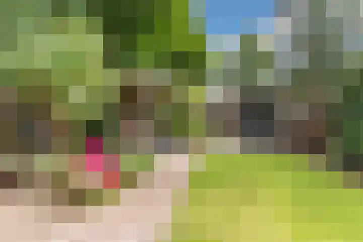 Husselmansgoed 26 Nijkerk thumbnail 28