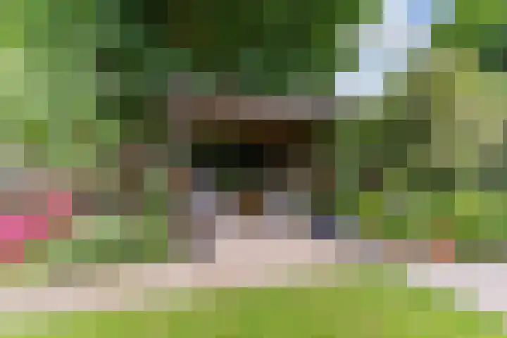 Husselmansgoed 26 Nijkerk thumbnail 29