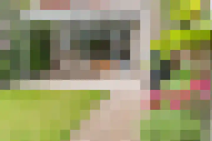 Husselmansgoed 26 Nijkerk thumbnail 31