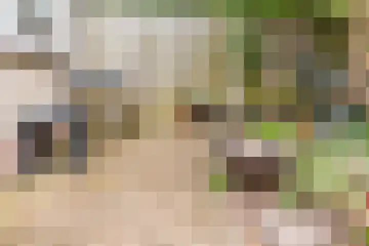 Husselmansgoed 26 Nijkerk thumbnail 32