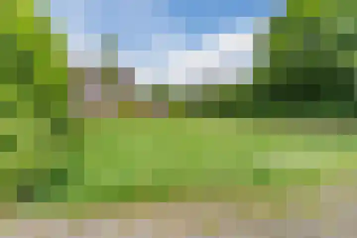 Husselmansgoed 26 Nijkerk thumbnail 33
