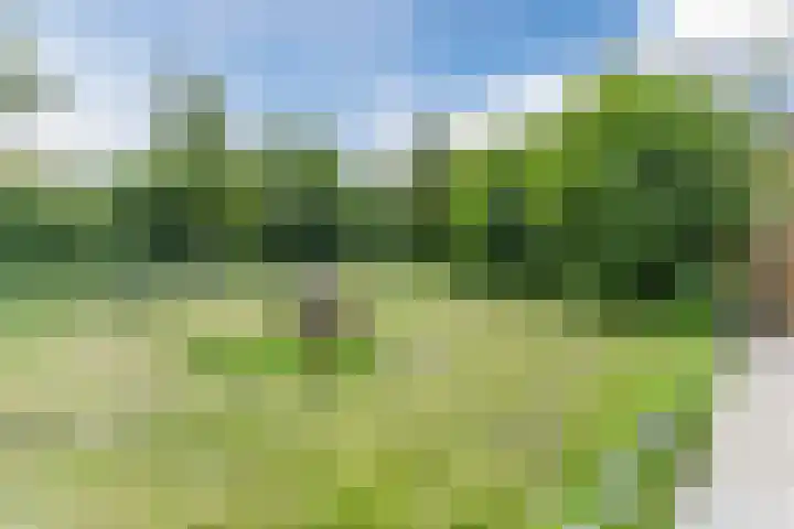 Husselmansgoed 26 Nijkerk thumbnail 34