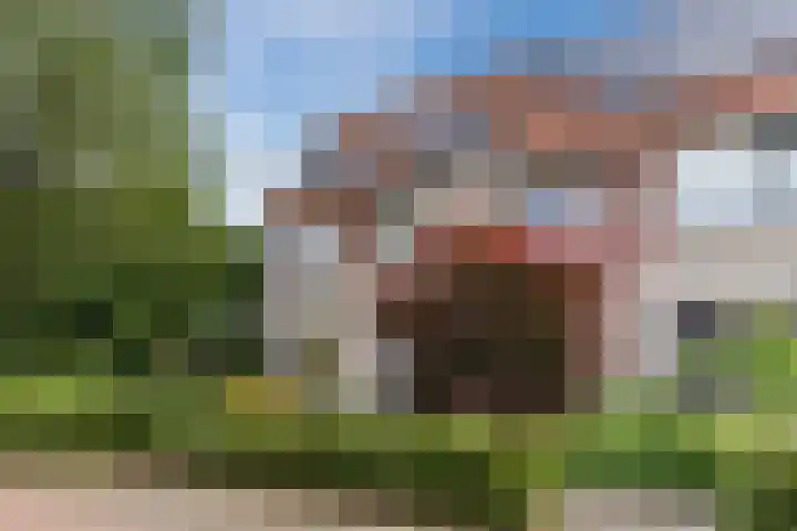 Husselmansgoed 26 Nijkerk thumbnail 35