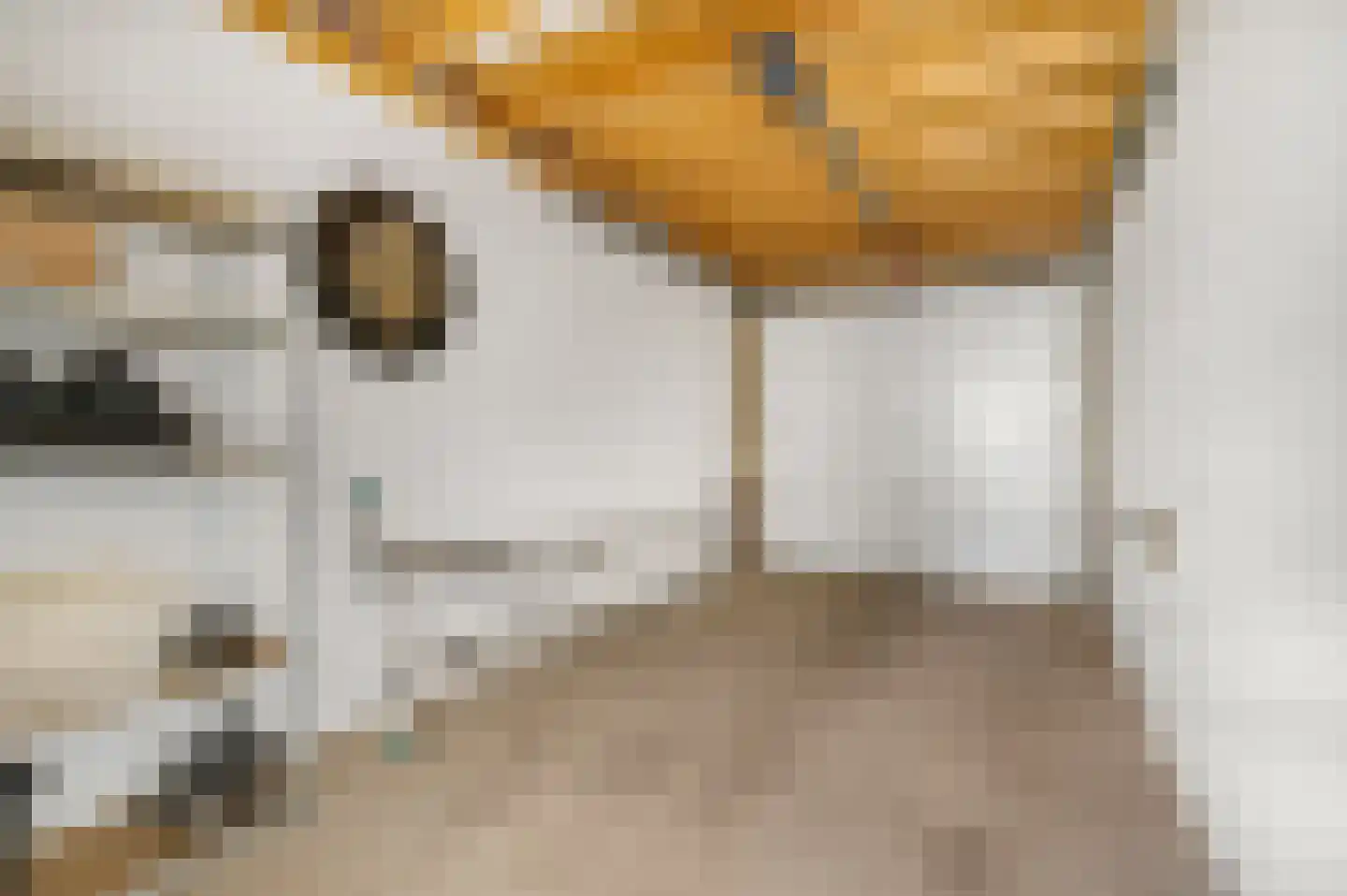 Husselmansgoed 53 Nijkerk thumbnail 31