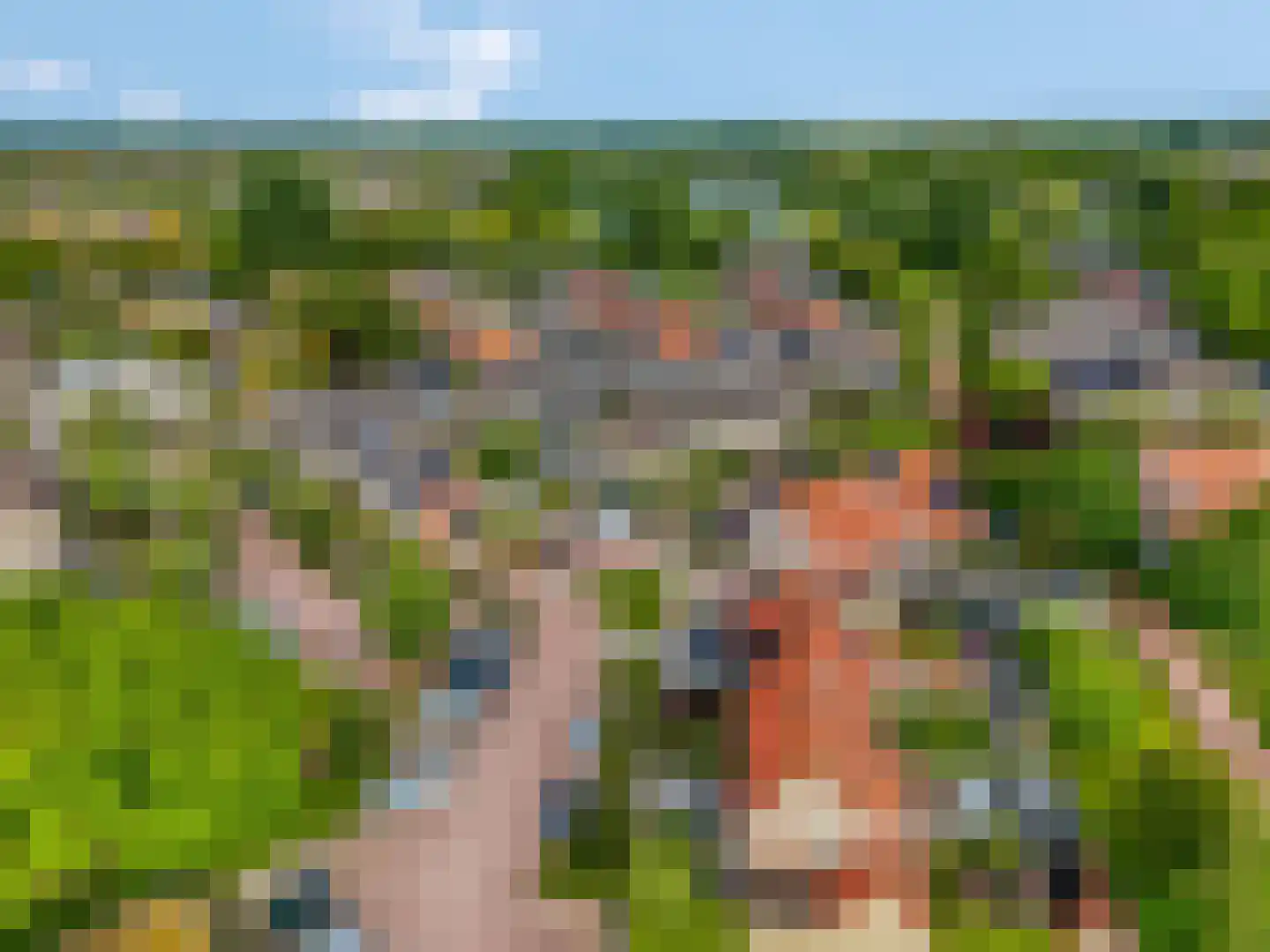 Husselmansgoed 53 Nijkerk thumbnail 39