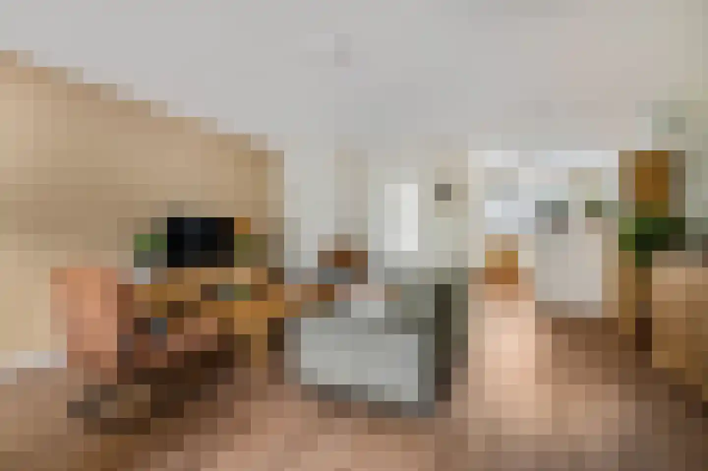 Husselmansgoed 53 Nijkerk thumbnail 5