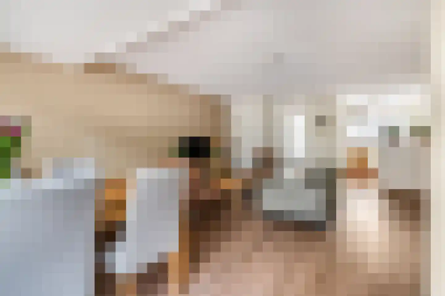 Husselmansgoed 53 Nijkerk thumbnail 7