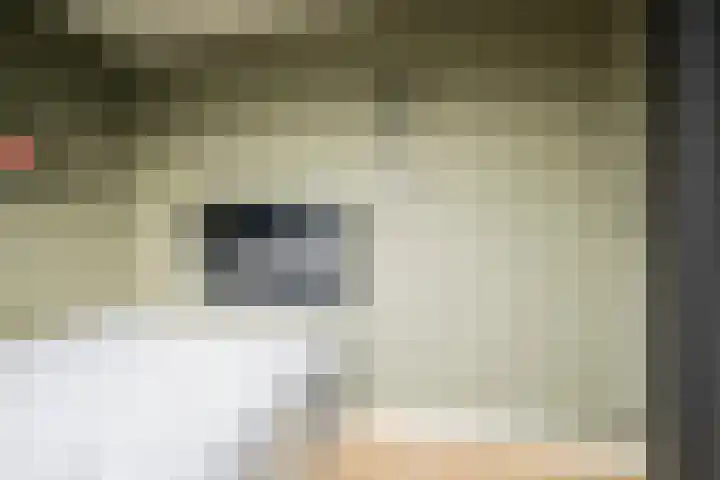 Husselmansgoed 66 Nijkerk thumbnail 18