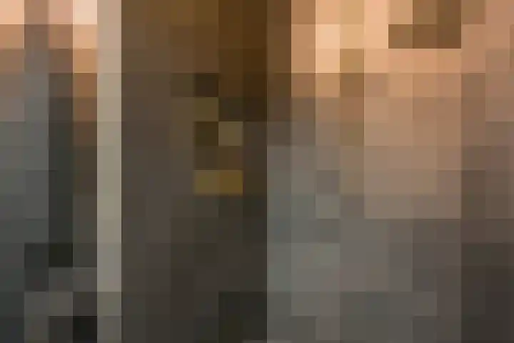 Husselmansgoed 66 Nijkerk thumbnail 22