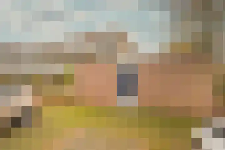 Husselmansgoed 66 Nijkerk thumbnail 28