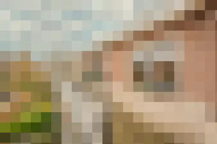 Husselmansgoed 66 Nijkerk thumbnail 34