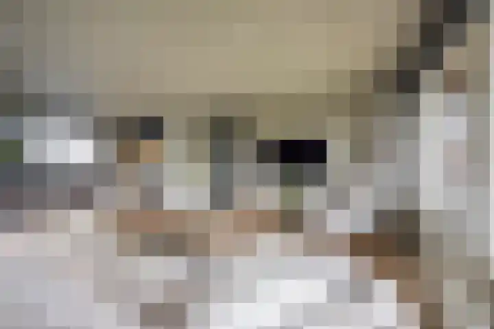 Husselmansgoed 66 Nijkerk thumbnail 4