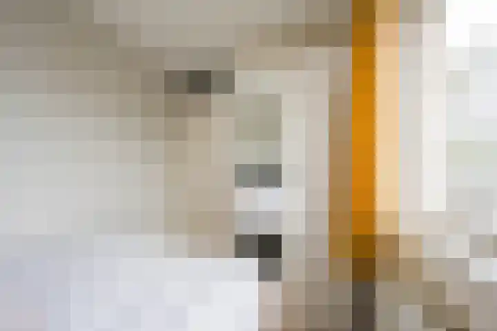 Husselmansgoed 70 Nijkerk thumbnail 20