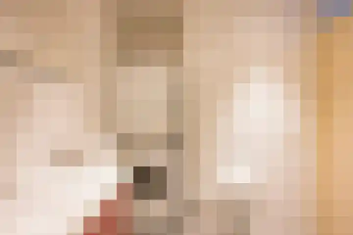 Husselmansgoed 70 Nijkerk thumbnail 23