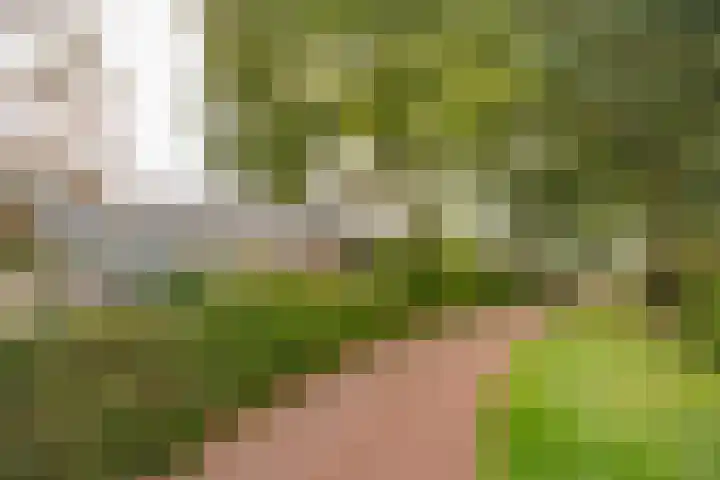 Husselmansgoed 70 Nijkerk thumbnail 25