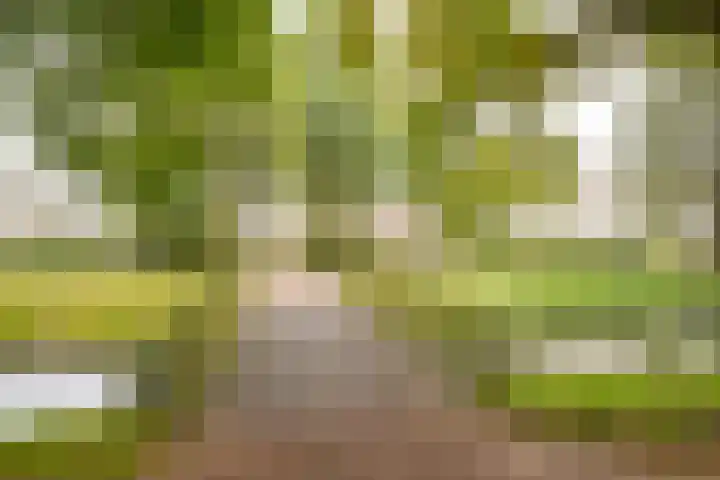 Husselmansgoed 70 Nijkerk thumbnail 26