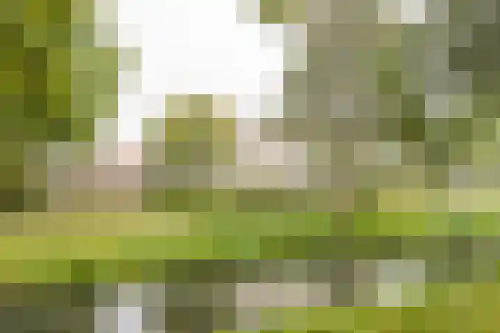 Husselmansgoed 70 Nijkerk thumbnail 27