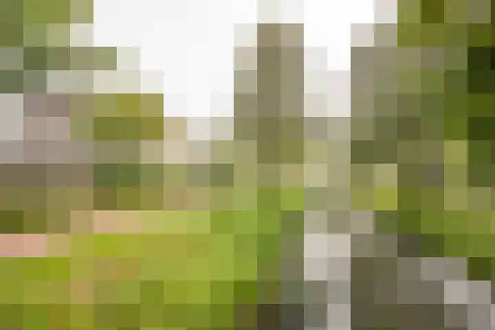 Husselmansgoed 70 Nijkerk thumbnail 28