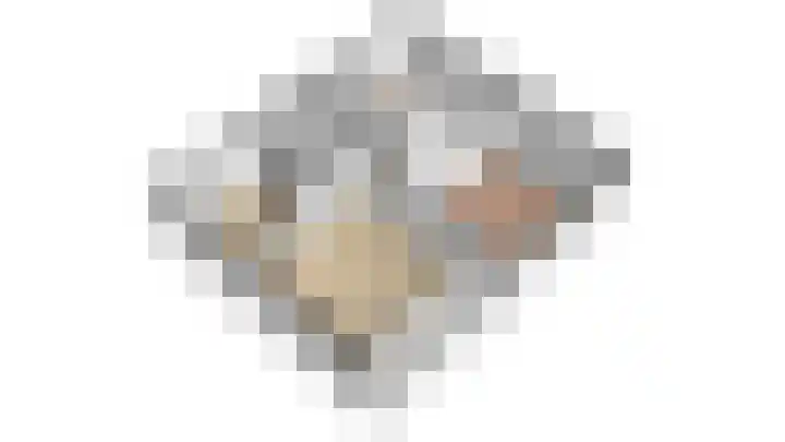 Husselmansgoed 70 Nijkerk thumbnail 32